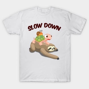 Slow Down Funny Turtle Riding Sloth T-Shirt